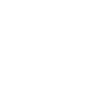 Icon Svg