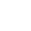 Icon Svg